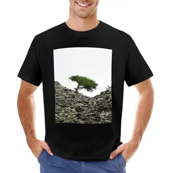 Природата намира начин | Лейк дистрикт, Англия, Великобритания, 2021 Тениска, тениски по поръчка, реколта тениски, мъжки тениски
